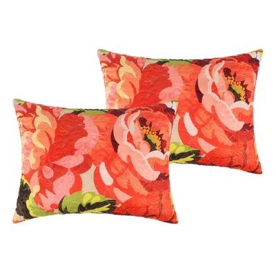 Breebe Senna Sham Standard In Multi