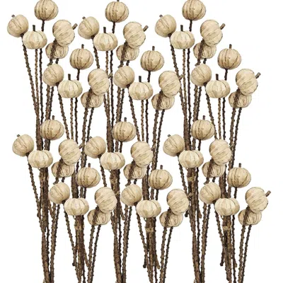 Breebe Set Of 12, 23.5" 5 Pcs Bunch Pumpkin Pod Twig Stem In Brown