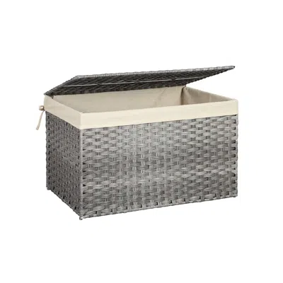 Breebe Storage Basket With Lid, 42.3 Gallon (160l) Storage Bin
