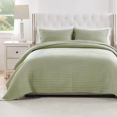 Breebe Vineyard Sage Quilt Set 3-piece King/cal King In Green