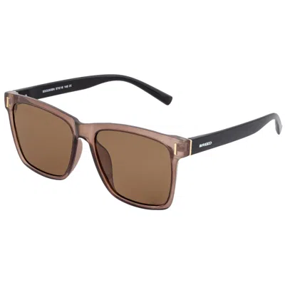 Breed Pictor Polarized Sunglasses In Brown