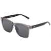Breed Pictor Polarized Sunglasses In Grey/black