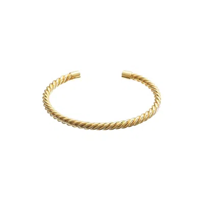 Brenda Grands Women's Twisted Aspen Bangle In Gold
