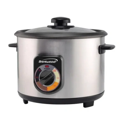 Brentwood 10-cup Stainless Steel Crunchy Persian Rice Cooker In Silver