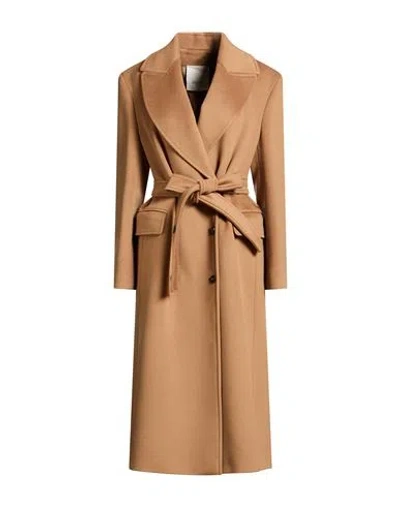 Breras Milano Woman Coat Camel Size 6 Virgin Wool In Brown