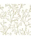 Brewster A-street Prints Koura Cream Budding Branches Wallpaper In Multi
