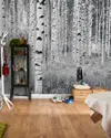 Brewster Birch Forest Wall Mural