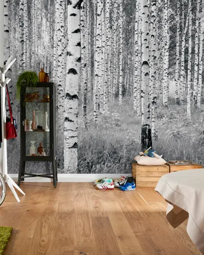 BREWSTER BREWSTER BIRCH FOREST WALL MURAL