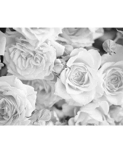 BREWSTER BREWSTER GREY PETALS WALL MURAL