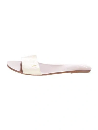 Pre-owned Brian Atwood Python Slides In Neutral