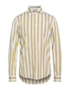 Brian Dales Man Shirt Mustard Size 17 Cotton In Multi