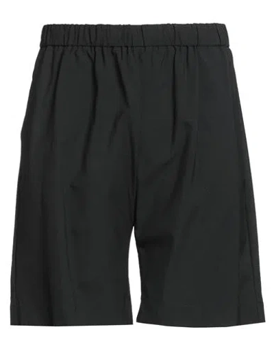 Brian Dales Man Shorts & Bermuda Shorts Black Size 36 Polyamide, Elastane