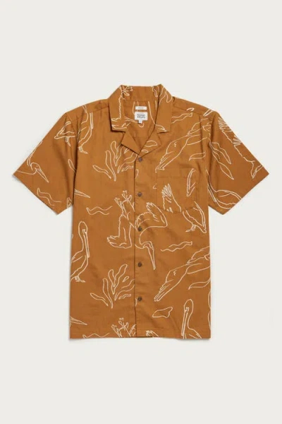 Bridge & Burn Bodie Shirt In Brown
