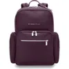 Briggs & Riley Rhapsody Medium Backpack In Plum