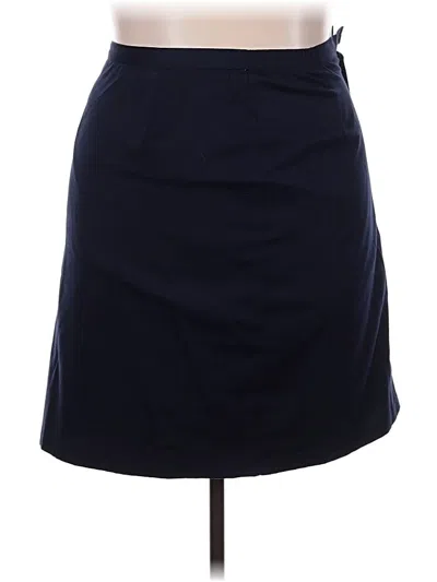 Pre-owned Briggs New York Casual Skirt In Blue
