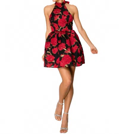 B.right Fit & Flare Halter Dress In Black/red/gold In Multi