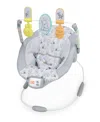 Bright Starts Baby Disney Winnie The Pooh Classic Pals Vibrating Bouncer In Multi