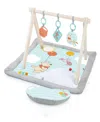 Bright Starts Baby Winnie The Pooh Once Upon A Tummy Time Baby Gear In Multi