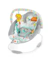 Bright Starts Whimsical Wild Comfy Bouncer In Multi