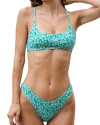 Bright Swimwear Gemma Bottom In Peppermint