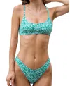 Bright Swimwear Gemma Bottom In Peppermint