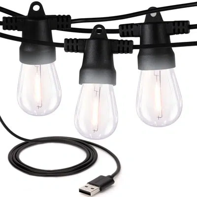 Brightech Ambience Pro 24.5 Ft. Usb-powered Outdoor Patio Led String Lights With 10 Soft White S14 Edison Bulb In Black