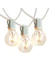 Brightech Ambience Pro Weatherproof Led String Lights - 12 Glass Bulbs, 26 Ft, White Cord In White