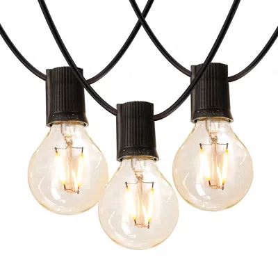 BRIGHTECH AMBIENCE PRO 26FT 1W LED GLOBE STRING LIGHTS (SOFT WHITE 2700K) IN BLACK
