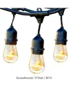Brightech Ambience Pro 48' 15 Bulb String Lights In Black