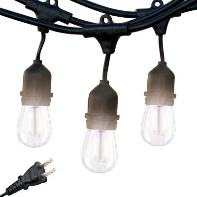 Brightech Ambience Pro 48 Ft. Plug-in Outdoor Patio Led String Lights With 15 Warm White S14 Edison Bulbs, Bla In Black