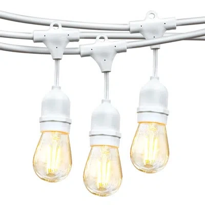 Brightech Ambience Pro 48 Ft. Plug-in Outdoor Patio Led String Lights With 15 Warm White S14 Edison Bulbs, Whi In Silver