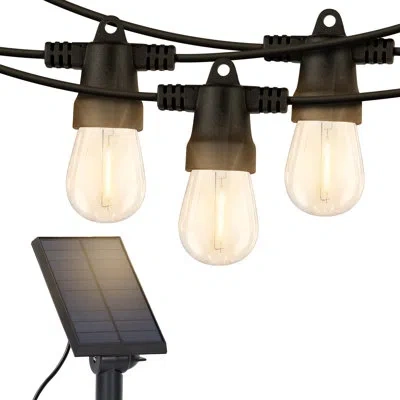 Brightech Ambience Pro 48 Ft. Solar Outdoor Patio Led String Lights With 15 Warm White S14 Edison Bulbs, Weath In Black
