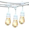Brightech Ambience Pro 48ft 2w Hanging Led String Lights In White
