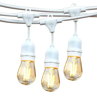 Brightech Ambience Pro 48ft 2w Hanging Led String Lights In White In Blue