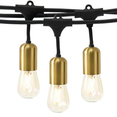 Brightech Glow Series 48 Ft. Plug-in Outdoor Patio Led String Lights With 15 Warm White S14 Edison Bulbs, Weat In Gold