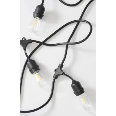 Brightech Plug-in Weatherproof Led Heavy Duty Outdoor String Lights In Black