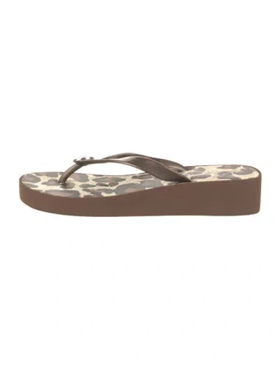 Pre-owned Brighton Rubber Flip Flops In Multi