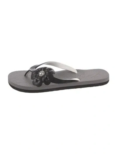Pre-owned Brighton Rubber Floral Print Flip Flops In Gray