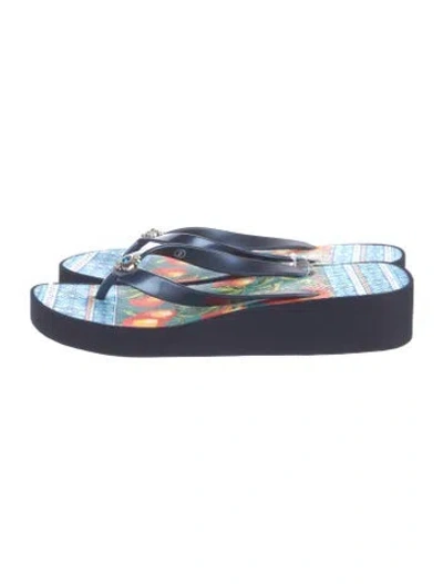 Pre-owned Brighton Rubber Printed Flip Flops In Blue