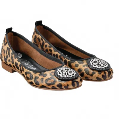 Brighton Women's Aleta Ballerina Flats In Leopard Print In Brown
