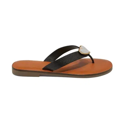 Brighton Women's Amigo Flat Thongs Sandal In Black