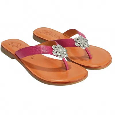 Brighton Women's Aster Thong Sandals In Orchid In Pink