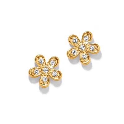 Brighton Women's Enchanting Flower Post Earrings In Gold Plated