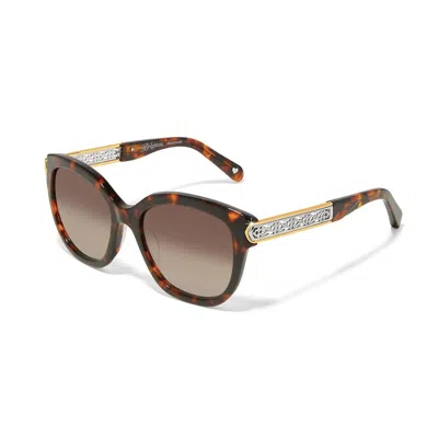 Brighton Women's Intrigue Amber Sunglasses In Tortoise In Multi