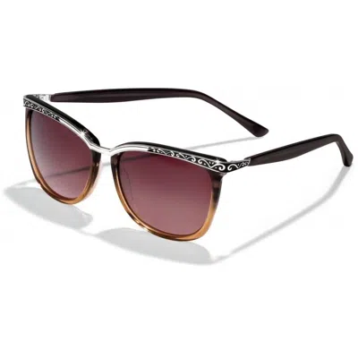 Brighton Women's La Scala Fade Sunglasses In Brown In Black