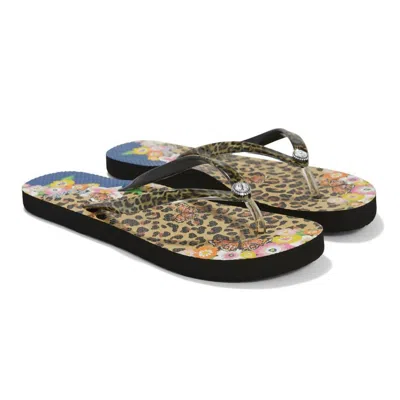 Brighton Women's Spotty Leo Flip Flops In Leopard In Multi