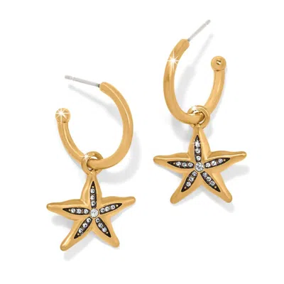 Brighton Women's Twilight Waters Starfish Hoop Earrings In Gold