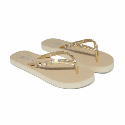 Brighton Women's V-thong Flat Flip Flops In Gold
