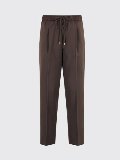 BRIGLIA 1949 PANTS BRIGLIA 1949 WOMAN COLOR BROWN,H73827032