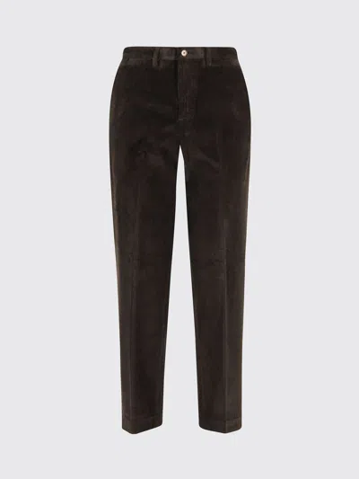 Briglia 1949 Pants  Woman Color Brown